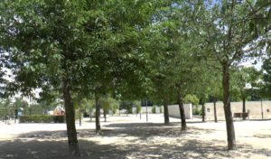 Jardin Blanc - Balard - Paris 15