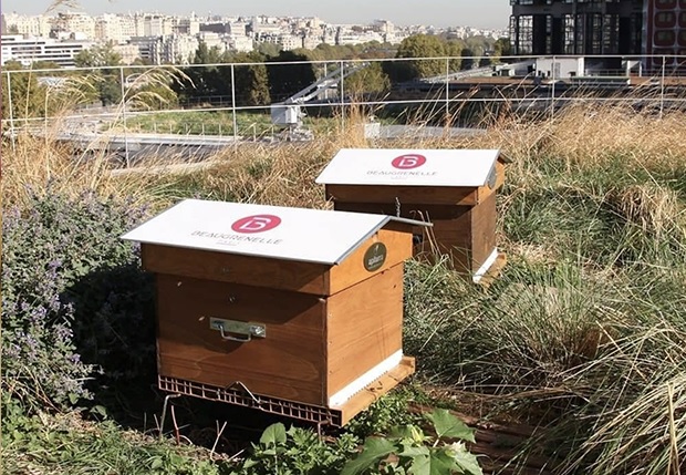 Jardin, ruche, ateliers DIY... une rentrée écolo à Beaugrenelle